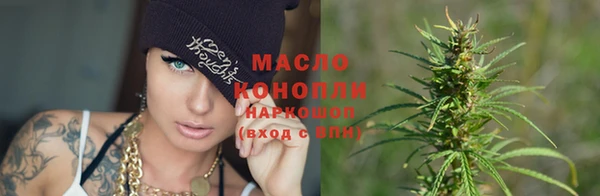 гашик Щучье