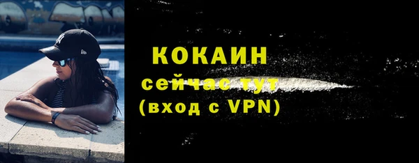 гашик Щучье